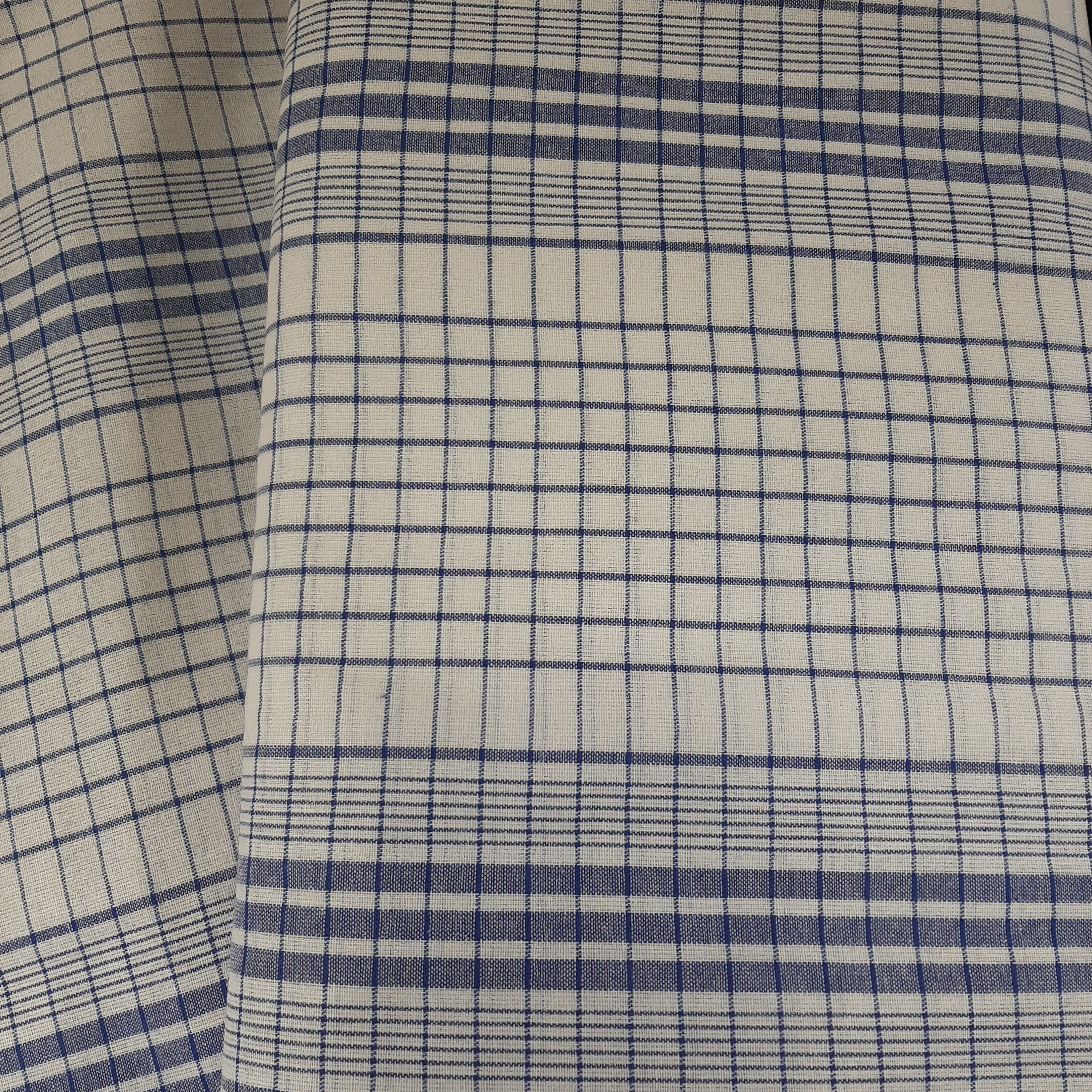 Aisa pangi (blauw wit)