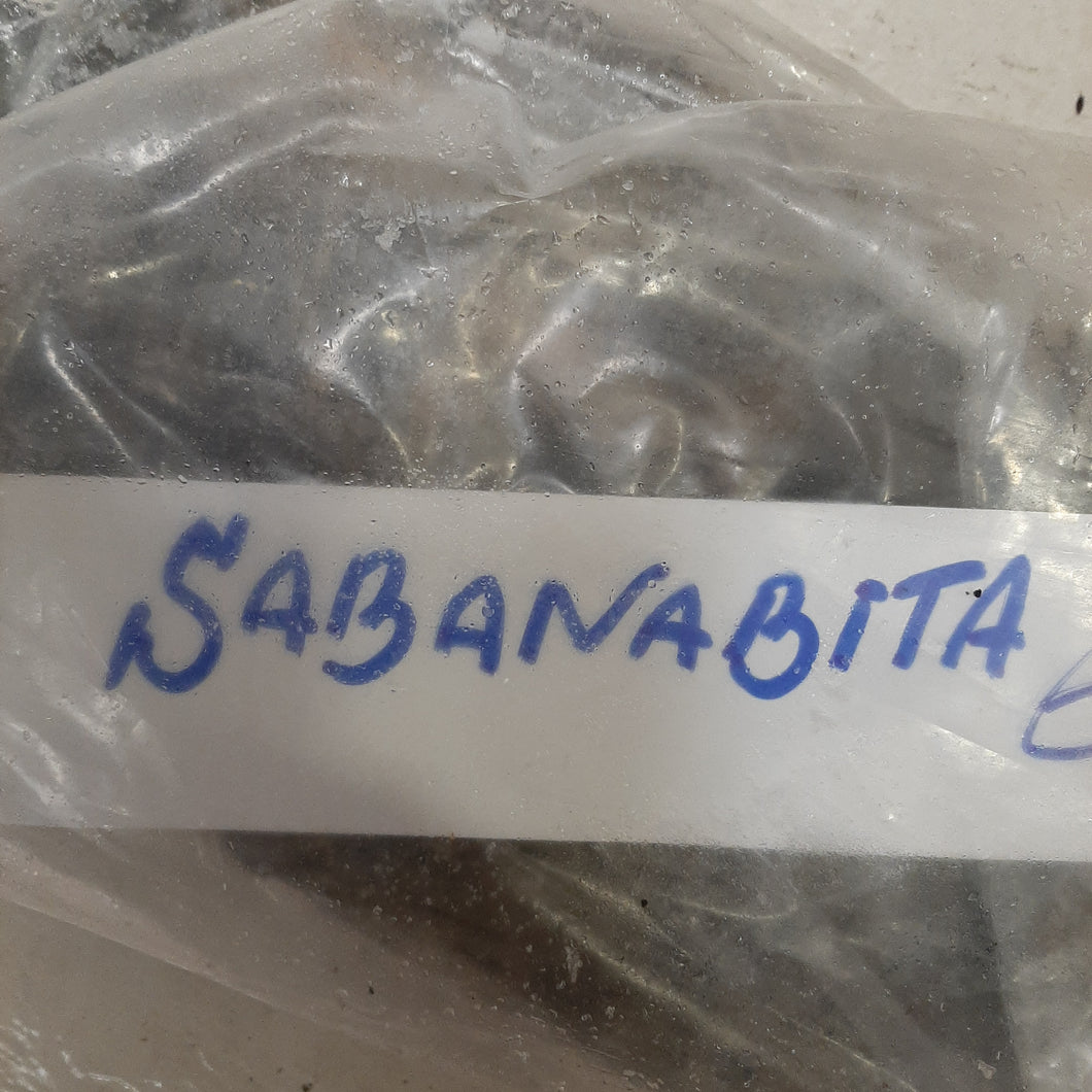 Sabanabita